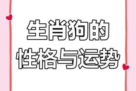 属狗腊月生：命理解析与性格特点的深度揭示