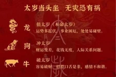 2024年龙生肖：揭示你的命运与机遇，迎接辉煌人生！