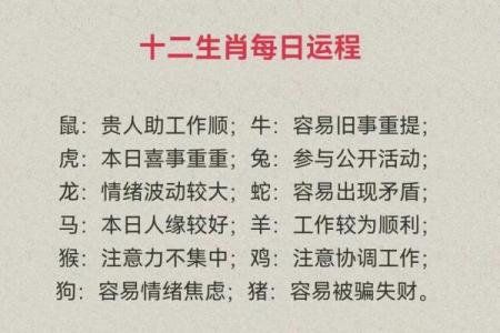 70多岁属猪的命运与生活智慧探讨