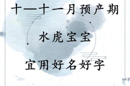 2022年虎年宝宝的命运解析：最适合的个性与人生方向