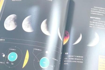 探秘命理学：了解命运、人生与宇宙的神秘联系