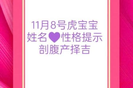 探秘巳时出生的虎女宝宝：她的命运与性格揭示