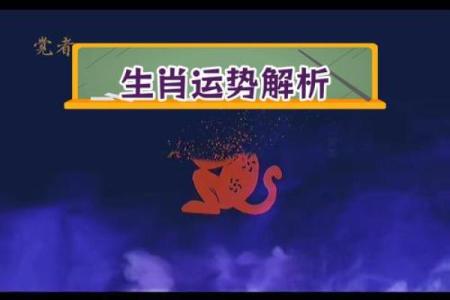 探寻威命的深意：生肖与命运的秘密连接