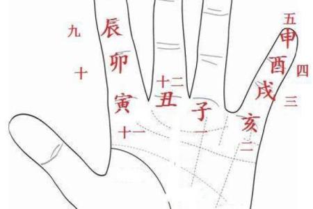 1986年腊月出生的命格分析与人生运势探究