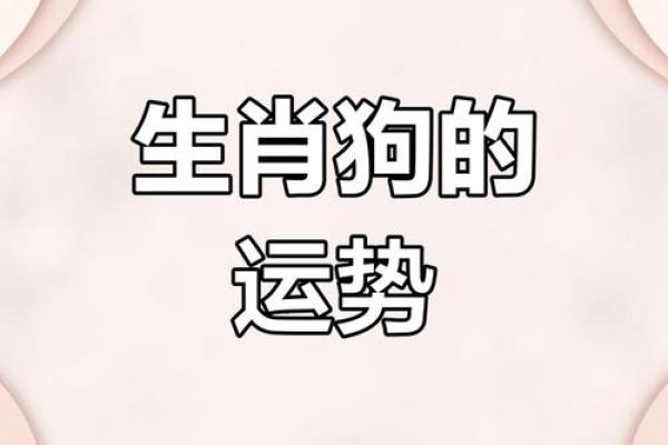 属狗之人的命运解析与运势指南：深入了解2018年的命运特征与风水影响