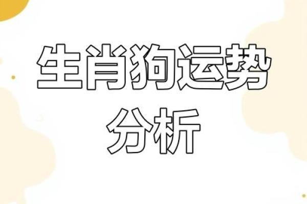 属狗之人的命运解析与运势指南：深入了解2018年的命运特征与风水影响