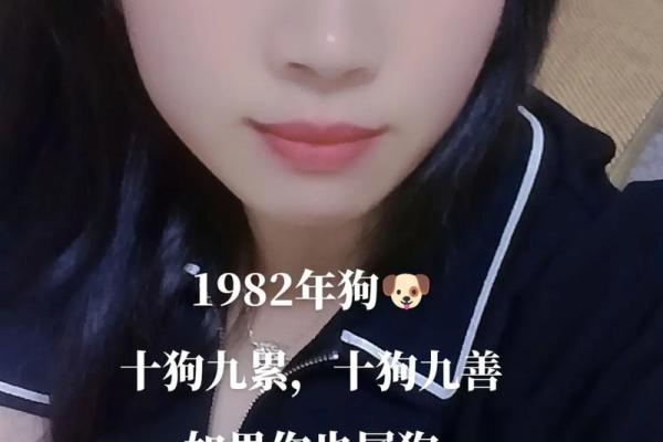 虚岁27属狗：探寻命理与人生的深刻意义