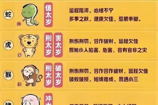 命不绝，生肖揭秘：你的生肖代表了什么命运？