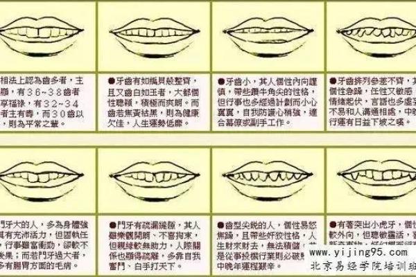 2002年马年命运解析：揭示你的运势与性格特征