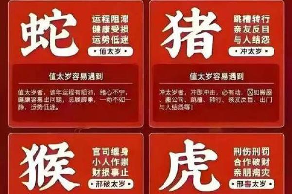 属兔四廿六命运解析：修身养性与幸福人生的钥匙