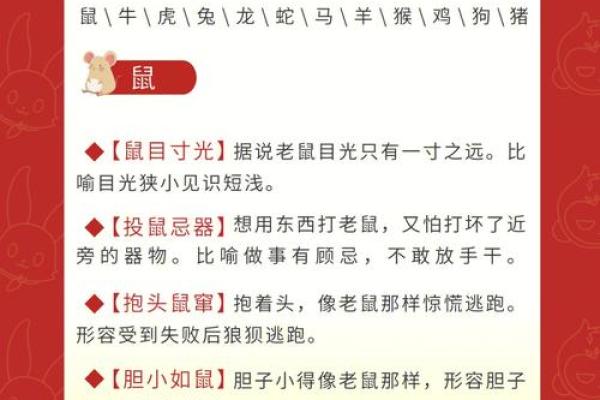 属兔四廿六命运解析：修身养性与幸福人生的钥匙