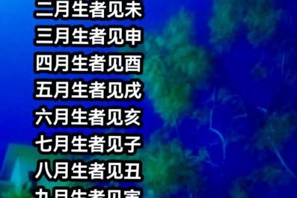 乙酉年男孩命运解析：适合什么命格，如何提升生活质量？