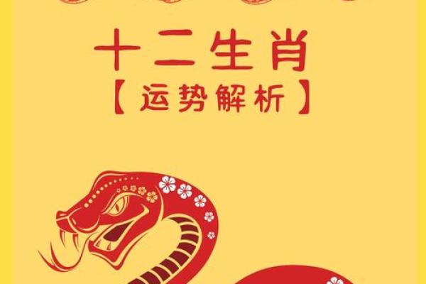 65年属蛇的木命解析：解密命理与生活的关系