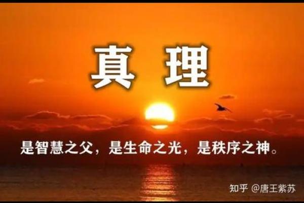 《天地命师：解锁命理之秘，领悟人生智慧》