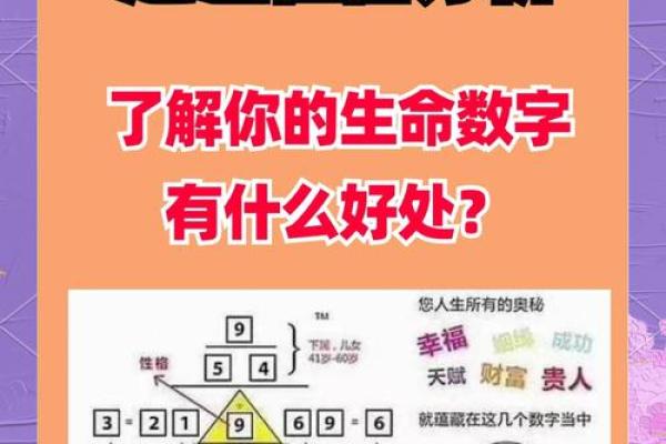 数字算命的奥秘：用数字揭示你的命运