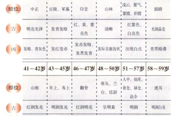 从1983年出生的人：命与运的深层解析