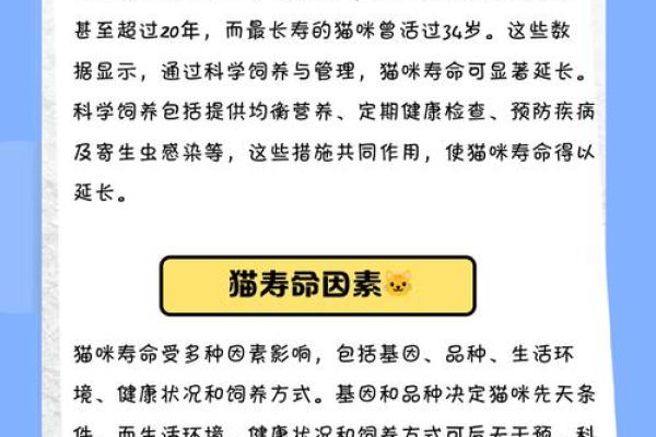 探秘猫命：解读猫咪命理背后的奥秘与寓意