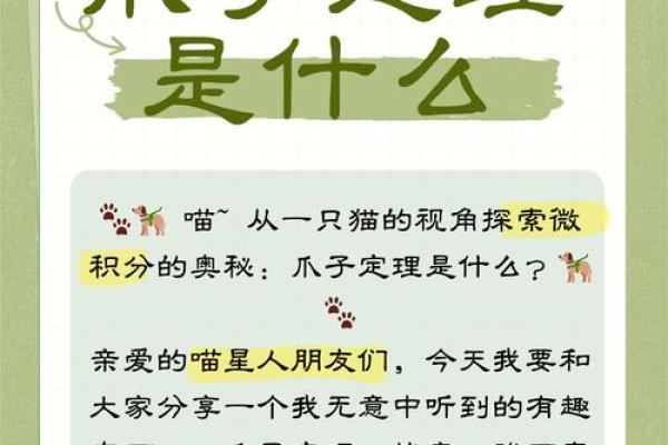 探秘猫命：解读猫咪命理背后的奥秘与寓意