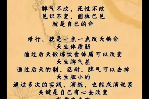 1993年出生者的命格解析：走向命运的独特旅程