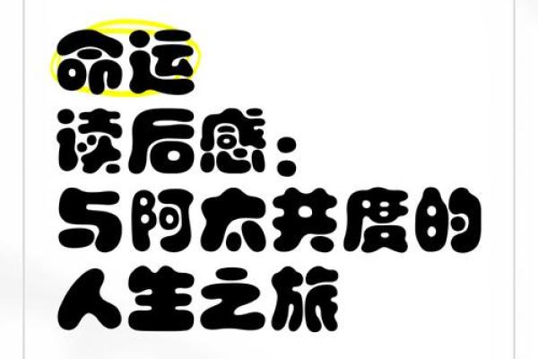 命里有的终究有什么：命运与人生的交织之旅