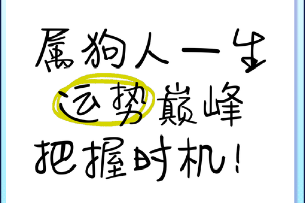 58年的命运之旅：揭示属狗人的精彩人生