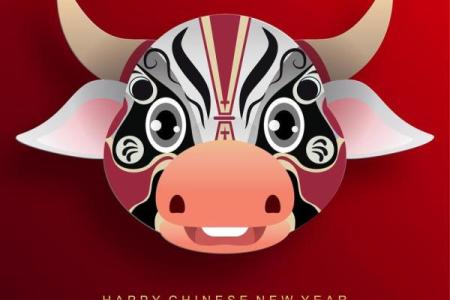 2021属牛之命：如何把握这一年的机遇与挑战