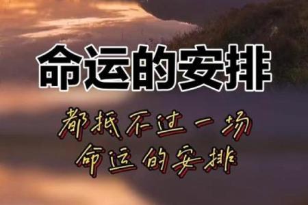 人生如戏，命理如悬：如何掌控命运的游戏？