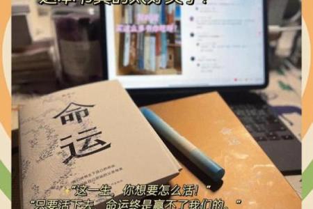 揭开“官母命”的神秘面纱，探索命理与人生的深邃联系