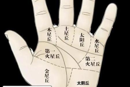 揭秘左掌生理特征，解码属相命运的奥秘!