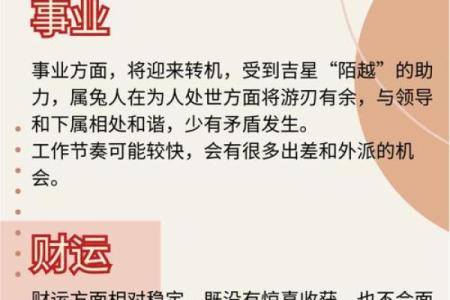 1919年属兔人：命运与性格解析之旅