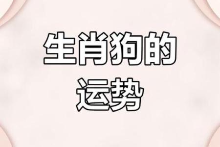 属狗之人的命运解析与运势指南：深入了解2018年的命运特征与风水影响