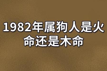 属狗1982年命运解析：勤奋与忠诚的独特人生旅程