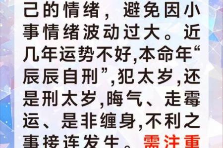 大龙之命：探秘属龙人的命理与人生轨迹