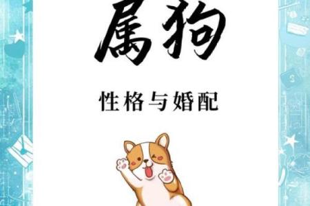 2018年属狗的命运解析：揭示生肖狗的性格与运势