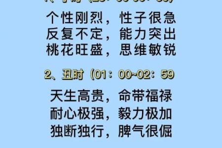 2004年出生的孩子：命运与性格的全面解读