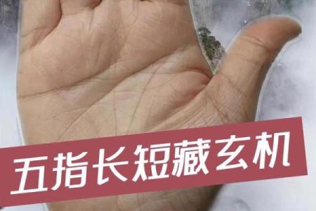 揭示女人手指型与命运的秘密：哪种指型最旺盛？