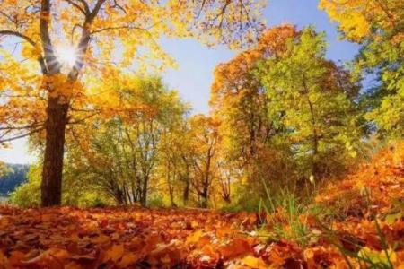 活到120岁，究竟是怎样的命运与机遇？