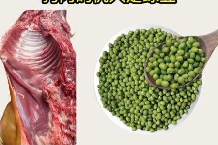 童子命者饮食禁忌：什么食物需谨慎？
