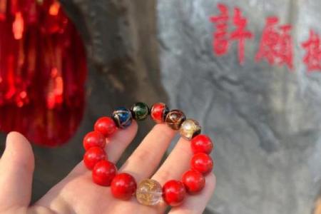 2023年兔年，兔命的魅力与运势探秘！