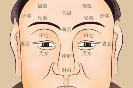 探秘富贵命人！揭示头型与命运的奥秘