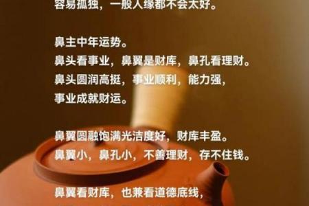 探索95年命主五行秘境，解锁人生运势与性格秘密！