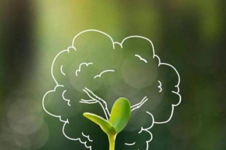 绿色爱好者的命运：揭秘喜爱绿色之人的性格与人生轨迹