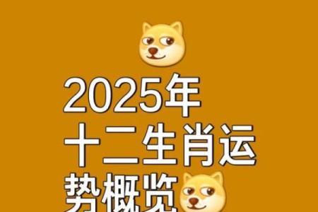 2034年属相与人生运势：如何在兔年里抓住机遇与挑战