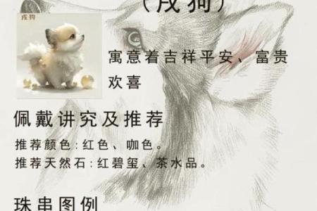 82年属狗的命运分析：探索九月出生者的独特性格与人生轨迹
