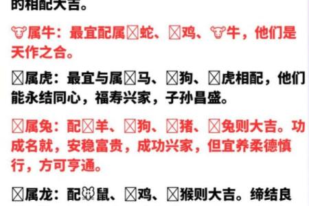 44年是什么命缺什么生肖？探索命理的奥秘与生肖的关系
