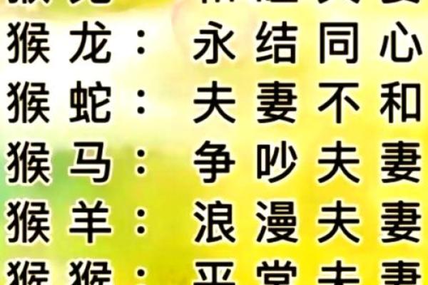揭开1993年出生的猪年人的命运与性格之谜