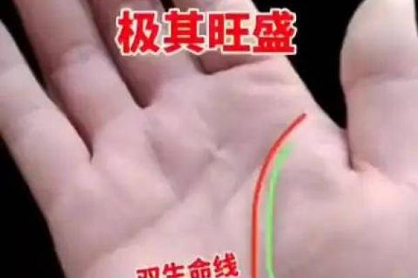 揭秘手相：每条线刻画你命运的秘密