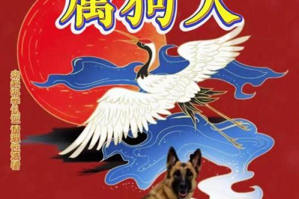 52岁属狗人的命运及金命解析，揭示未来的契机与挑战