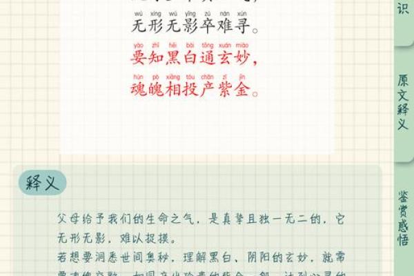 命带说词，探寻生活的深层意义与启示