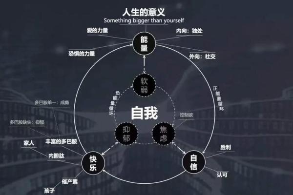 命带说词，探寻生活的深层意义与启示